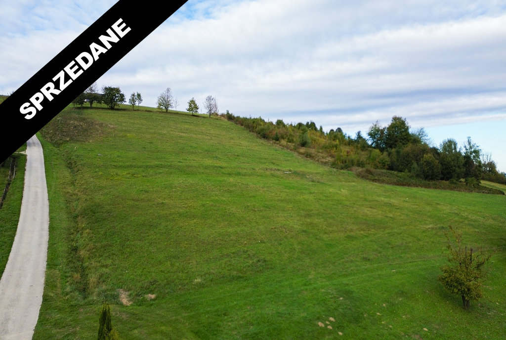 Posadowa Mogilska 246 -01_wynik