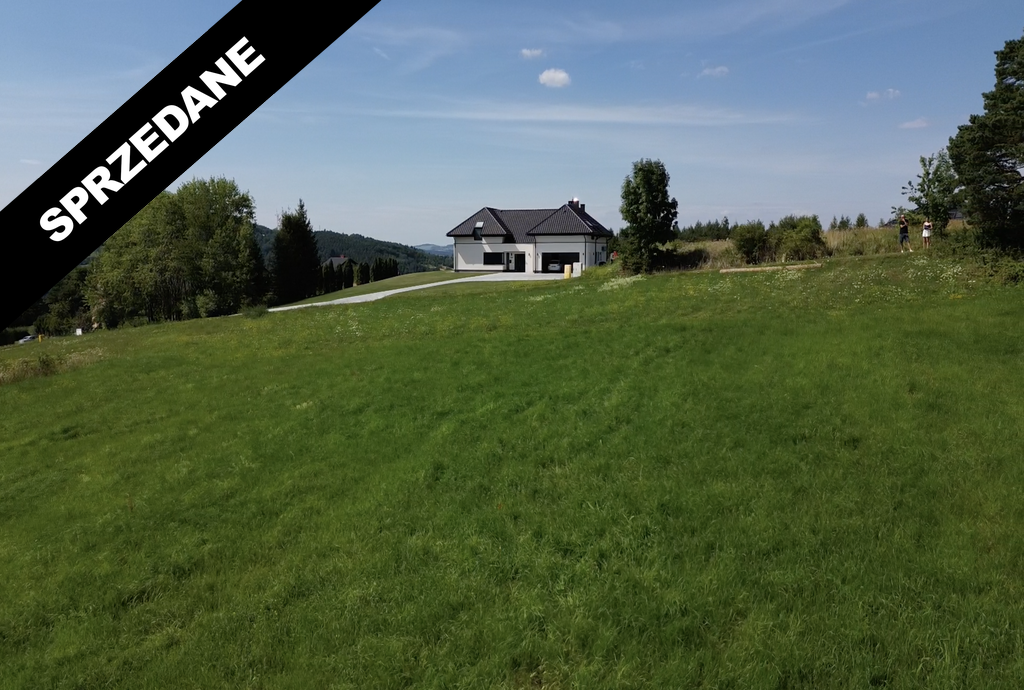 Zrzut ekranu 2024-08-27 o 14.43.48_wynik