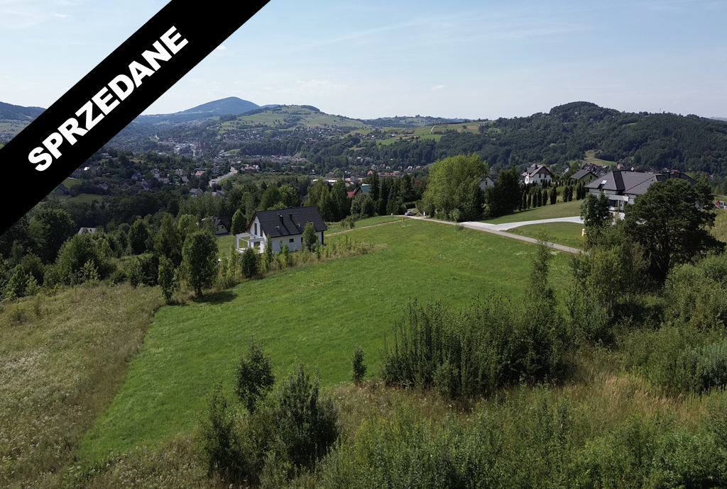 Zrzut ekranu 2024-08-27 o 14.47.01_wynik