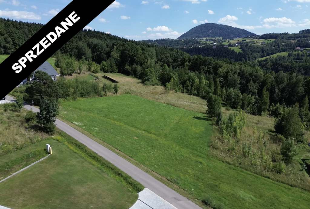 Zrzut ekranu 2024-08-27 o 14.48.53_wynik