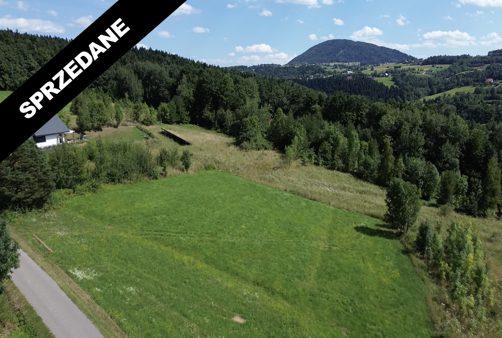 Zrzut ekranu 2024-08-27 o 14.49.16_wynik